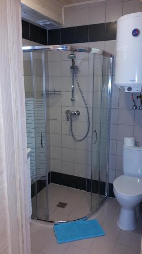 a bathroom with a glass shower with a toilet at Aqua Domki in Pobierowo