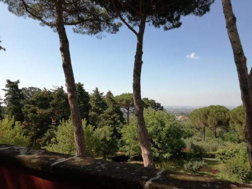 a view from the top of a hill with trees at Vigna dell'Agrifoglio - Bed and Breakfast in Velletri