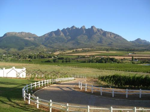 a road in a field with mountains in the background at Val Du Charron Wine & Leisure Estate in Wellington