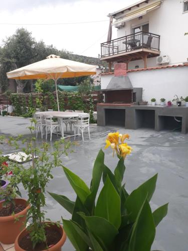 スカラ・ソティロスにあるFiloxenia Apartmentsのパティオ(テーブル、傘、植物付)