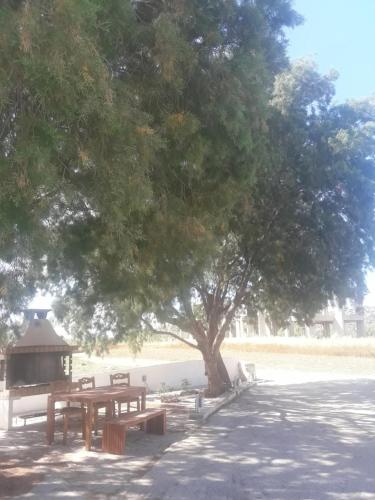 a picnic table and a gazebo under a tree at Studio Tolakis in Plaka