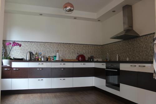 Η κουζίνα ή μικρή κουζίνα στο Villa Neubad