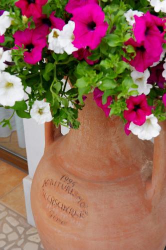 a vase with pink and white flowers in it at Agriturismo il Cascinale in Treviso