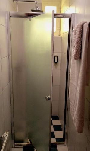 a shower with a glass door in a bathroom at Villa Teleki in Teleki
