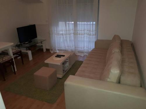 Renome apartmaniにあるテレビまたはエンターテインメントセンター