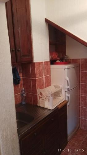 a kitchen with a washing machine on a counter at Apartments Vila Marija in Žabljak