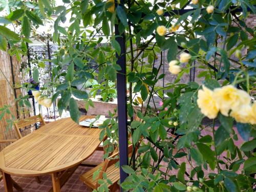 a wooden table and a tree with yellow flowers at Casa "Le tre Muse" in Deruta
