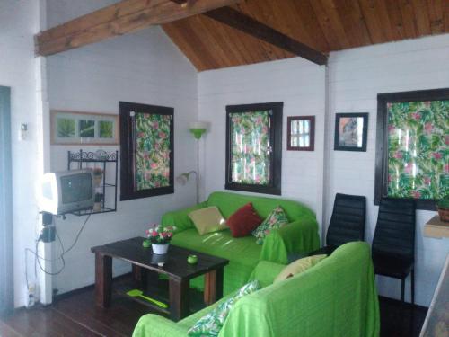 a living room with a green couch and a tv at El mirador del consuelo in Jorquera