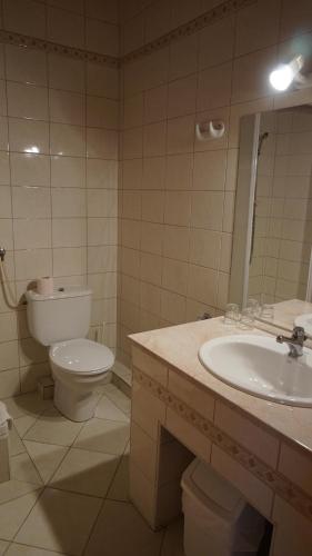 Hajdú Kastély Hotelにあるバスルーム
