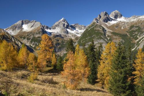 Un paisaje natural cerca de la casa vacacional