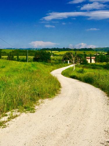 a dirt road in the middle of a field at Il Girasole Terzuolo in Manciano