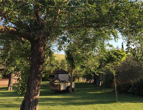 a truck parked in the grass next to a tree at Il Girasole Terzuolo in Manciano