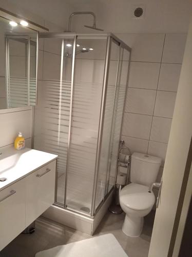 a bathroom with a shower and a toilet and a sink at Pension Hofer in Bad Berneck im Fichtelgebirge