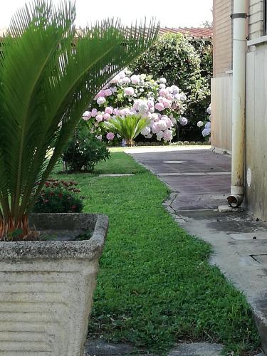a plant in a stone planter next to a sidewalk at B&B Casa degli Ulivi in Nettuno