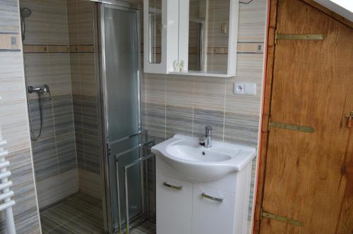 a bathroom with a sink and a shower at Guest House Haklův Mlýn in Hrabětice