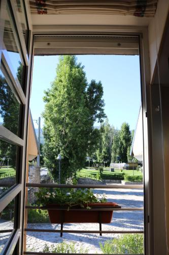 a window view of a tree outside a building at Hotel La Posada De Alameda in Alameda del Valle