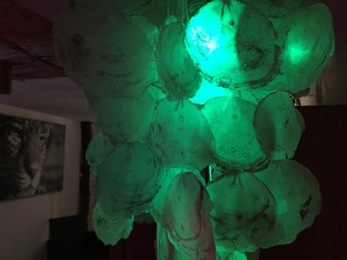 a group of green lights hanging from a ceiling at EGZOTYCZNO - ROMANTYCZNE miejsce dla DWOJGA in Ełk