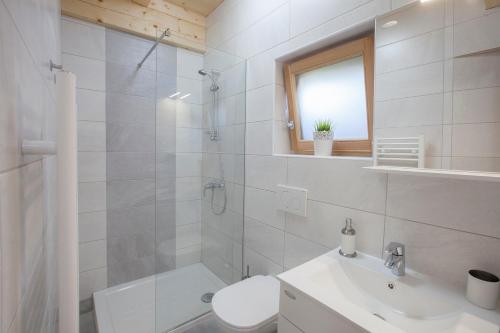 een badkamer met een douche, een toilet en een wastafel bij 1861 Blejka apartments Bled in Bled