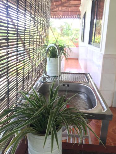 ein Waschbecken mit zwei Topfpflanzen neben ihm in der Unterkunft Eco-Home Siem Reap Homestay in Siem Reap