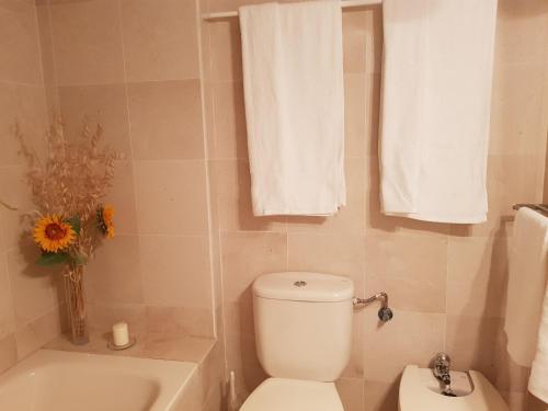 baño con aseo y jarrón de flores en Apartamento Auténtico Playa, en Torremolinos