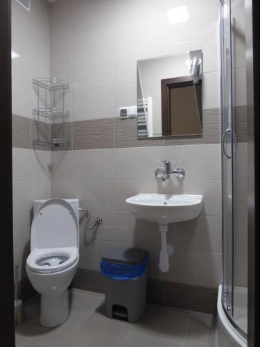 a bathroom with a toilet and a sink at Sloneczna Kwatera in Cisna