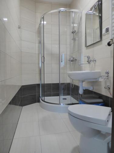 een badkamer met een douche, een toilet en een wastafel bij Sloneczna Kwatera in Cisna