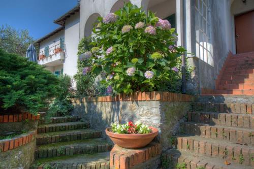 Jardín al aire libre en Appartamento in Villa a 5 KM dal mare