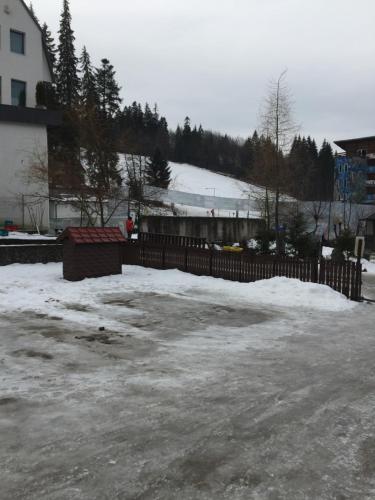 普雷代亞爾的住宿－Spa-ul Schiorilor，积雪和围栏的停车场