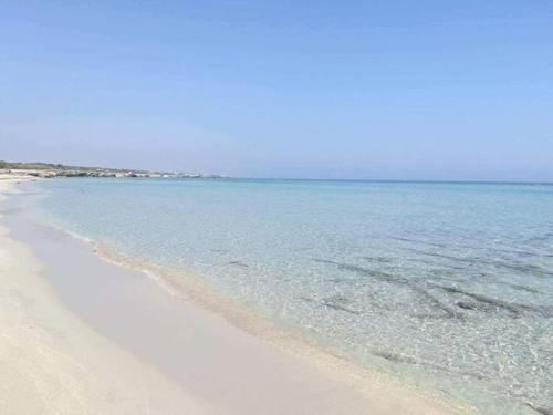 Φυσικό τοπίο κοντά σε αυτό το διαμέρισμα