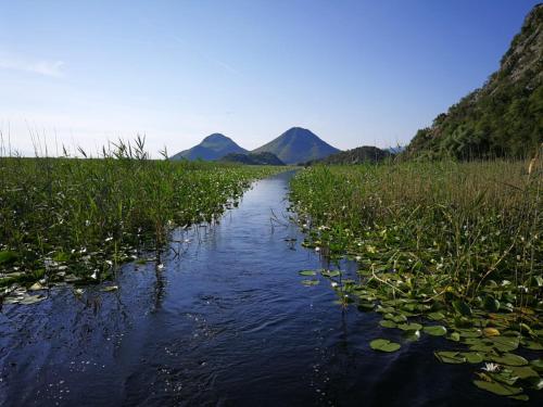 a river with lily pads and mountains in the background at Ethno Lodge AB in Virpazar