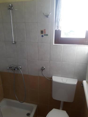 a bathroom with a shower with a toilet and a sink at Dalmatino in Brodarica