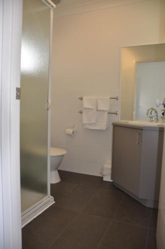 a bathroom with a shower and a sink and a toilet at A Great Ocean View Motel in Apollo Bay