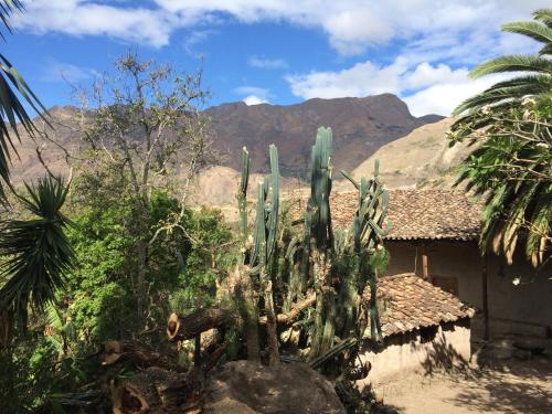a cactus in front of a house with mountains in the background at Hacienda Gonzabal in Loja