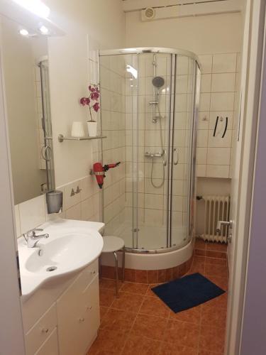 a bathroom with a shower and a white sink at Horn Gästehaus in Leinfelden-Echterdingen