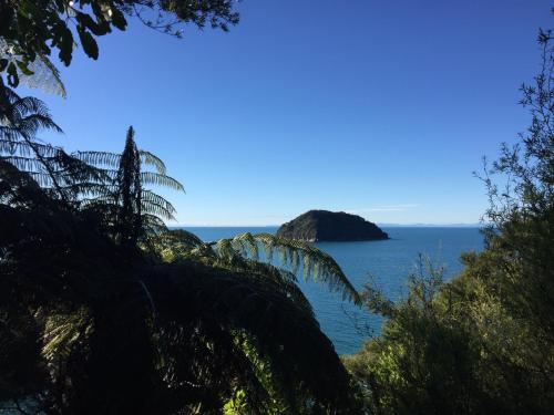 a view of the ocean from a tree at Kanuka Ridge Lodge in Marahau