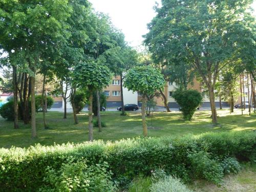 un parc avec des arbres et des buissons devant un bâtiment dans l'établissement Studio Apartment "Balta", à Palanga
