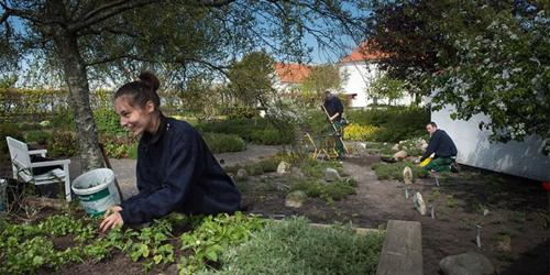 Zahrada ubytování Danhostel Vitskøl Kloster