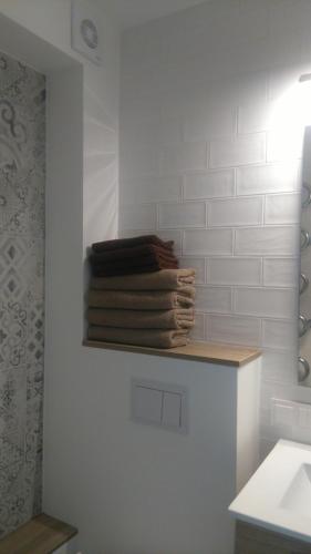 Vonios kambarys apgyvendinimo įstaigoje Studio Apartment "Balta"