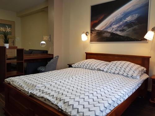 a bedroom with a bed and a painting on the wall at Marcus in Bydgoszcz