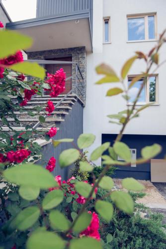 Φωτογραφία από το άλμπουμ του Holiday Flat στο Σαράγεβο
