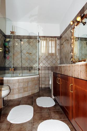 a bathroom with a shower and a tub and a sink at The Blue Horizon Villa in Livadi