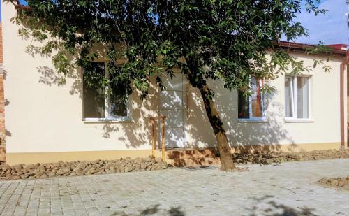 ムカチェヴォにあるEmilia - Villa & Parkingの白家の前の木