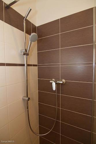 a shower in a bathroom with a brown tile wall at Pension Karnet in Prague