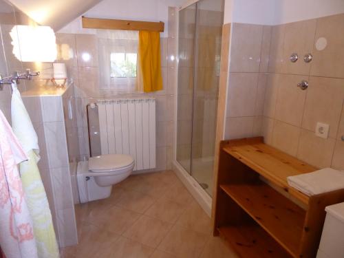 een badkamer met een douche en een toilet bij Apartment Tina in Bohinj