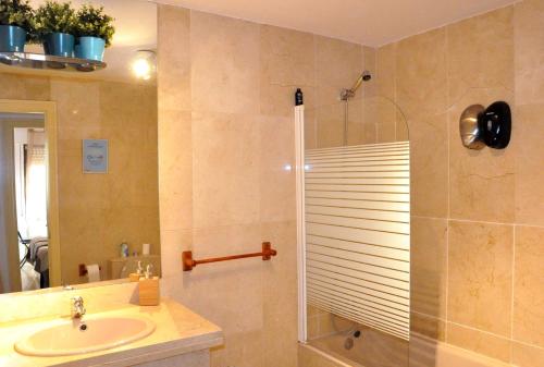マラガにあるCasa Salamancaのバスルーム(シャワー、シンク付)