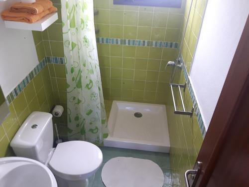 a green bathroom with a toilet and a shower at Apartamento La Caleta El Hierro Island terrace with incredible views in La Caleta