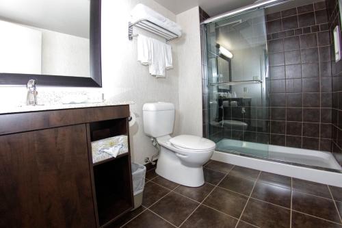 a bathroom with a toilet and a shower and a sink at Victoria Inn Hotel & Convention Centre Brandon in Brandon