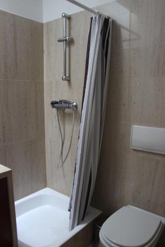 a bathroom with a tub and a toilet and a shower at Matosinhos -Seas Apartment- Cabo das Marés in Matosinhos