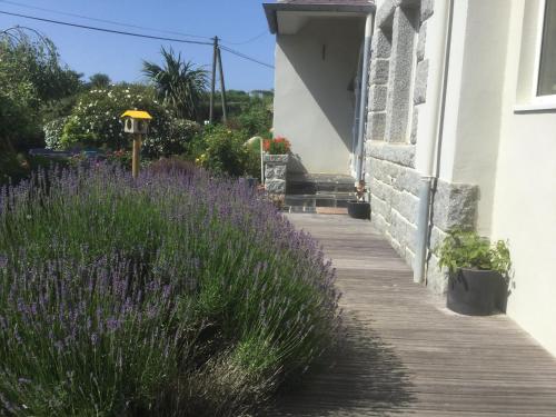 a wooden walkway next to a house with purple flowers at Les Chambres de Kermenguy in Sibiril