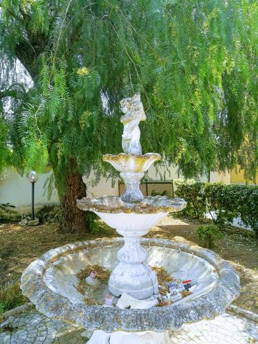 a fountain with a cat sitting on top of it at Garden Inn in Capua